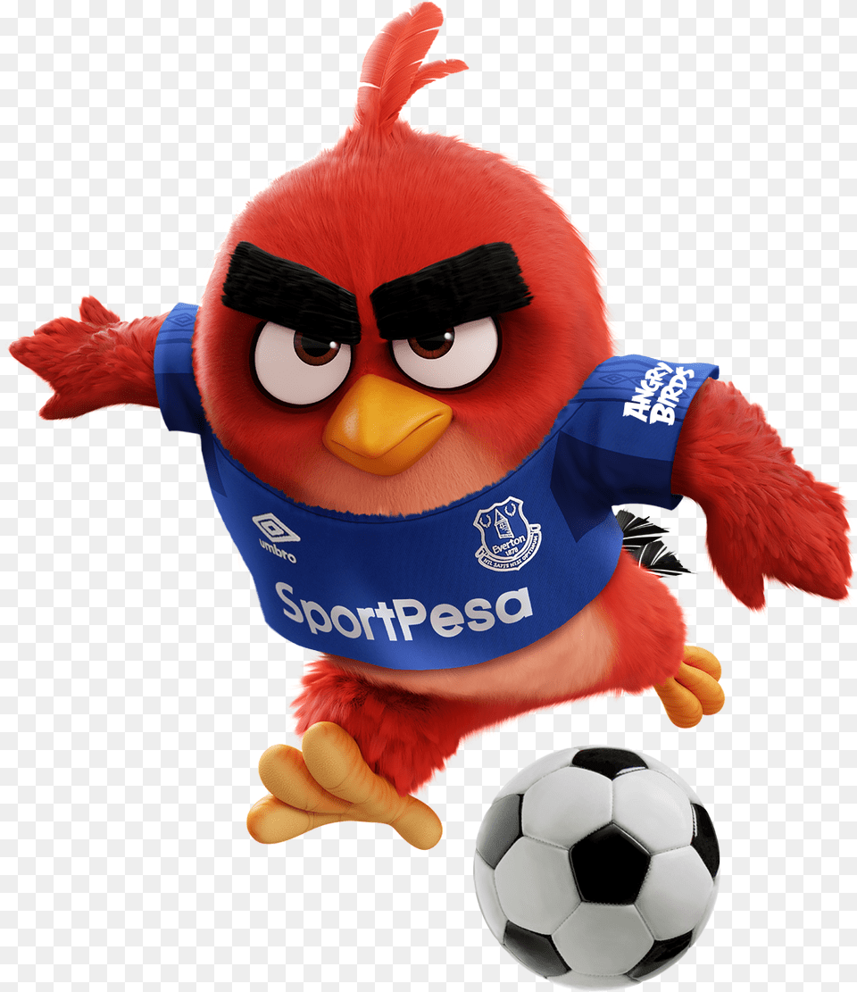 Corporation And English Premier League Club Everton Premier League Angry Birds, Ball, Football, Soccer, Soccer Ball Png