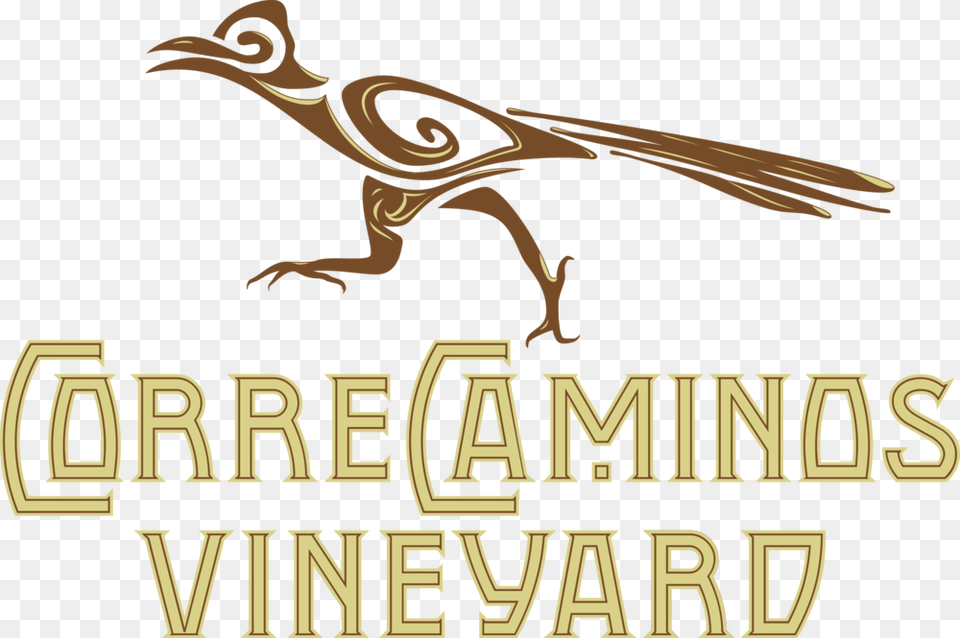 Correcaminos Vineyard Logo Brown Pelican, Animal, Dinosaur, Reptile Free Transparent Png