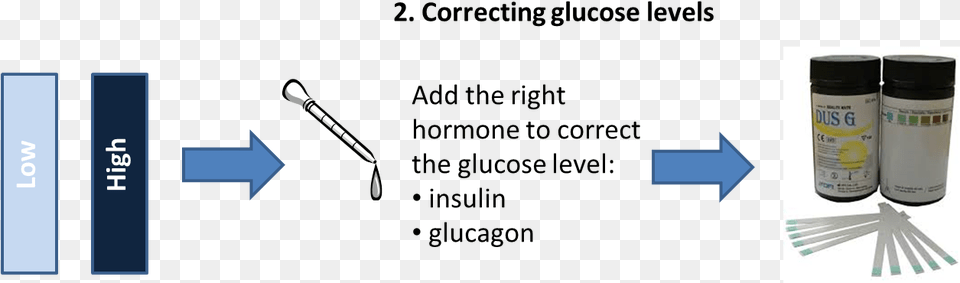 Correcting Glucose Levels Writing, Cutlery, Spoon, Fork, Electrical Device Png