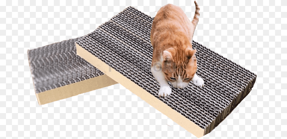 Corrugated Cardboard Rectangle Cat Scratch Cat Grabs Treat, Machine, Ramp, Animal, Mammal Free Transparent Png