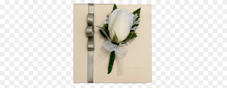 Corsage, Flower, Flower Arrangement, Plant, Rose Png