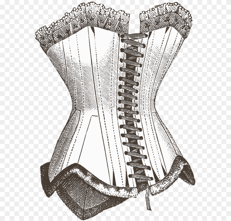 Corset Illustration, Clothing, Adult, Bride, Female Png Image
