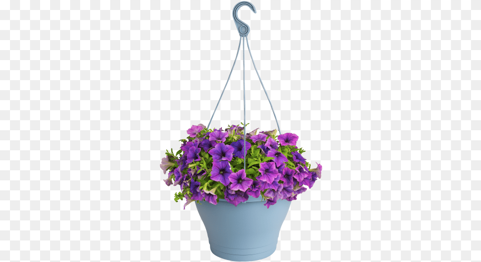 Corsica Hanging Basket Hanging Flowers, Vase, Planter, Plant, Pottery Png Image
