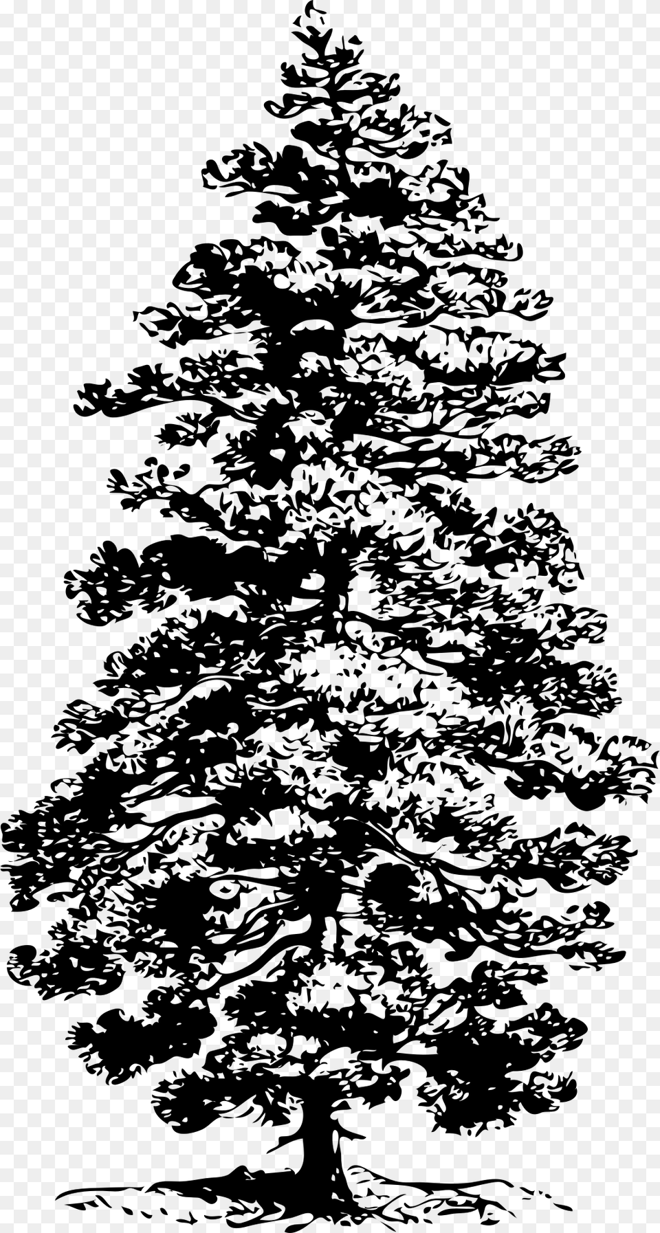Corsican Pine Svg Clip Arts Pine Tree Clip Art, Gray Free Png