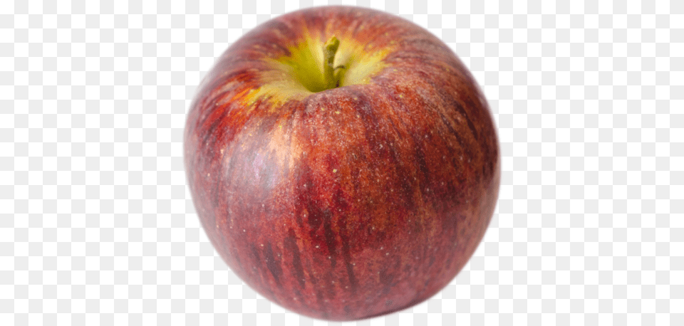 Cortland, Apple, Food, Fruit, Plant Free Transparent Png