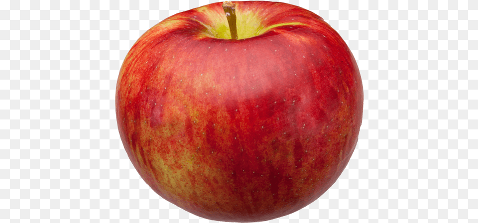 Cortland Apple, Food, Fruit, Plant, Produce Png Image