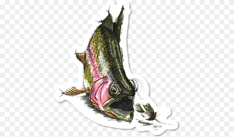 Cory Street Rainbow Trout Sticker Illustration, Animal, Fish, Sea Life, Coho Png Image