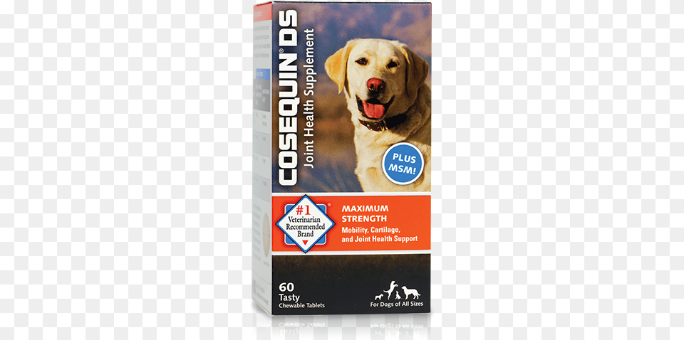 Cosequin Max Strength Cosequin Maximum Strength Plus Msm Chewable Tablets, Animal, Canine, Dog, Mammal Free Transparent Png
