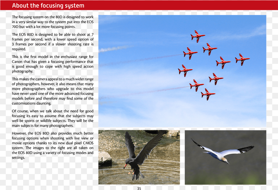 Cosford, Aircraft, Airplane, Animal, Bird Free Png
