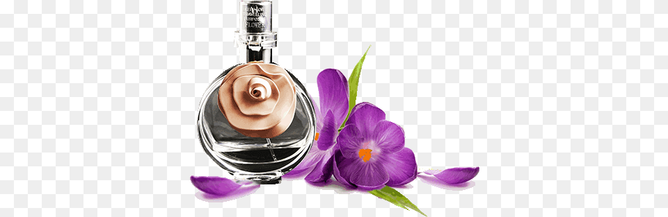 Cosmetic And Perfume Package Supplier Perfume Bottle With Flowers, Cosmetics, Flower, Petal, Plant Free Png
