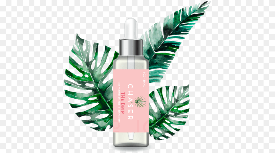 Cosmetics, Bottle, Herbal, Herbs, Lotion Free Png Download