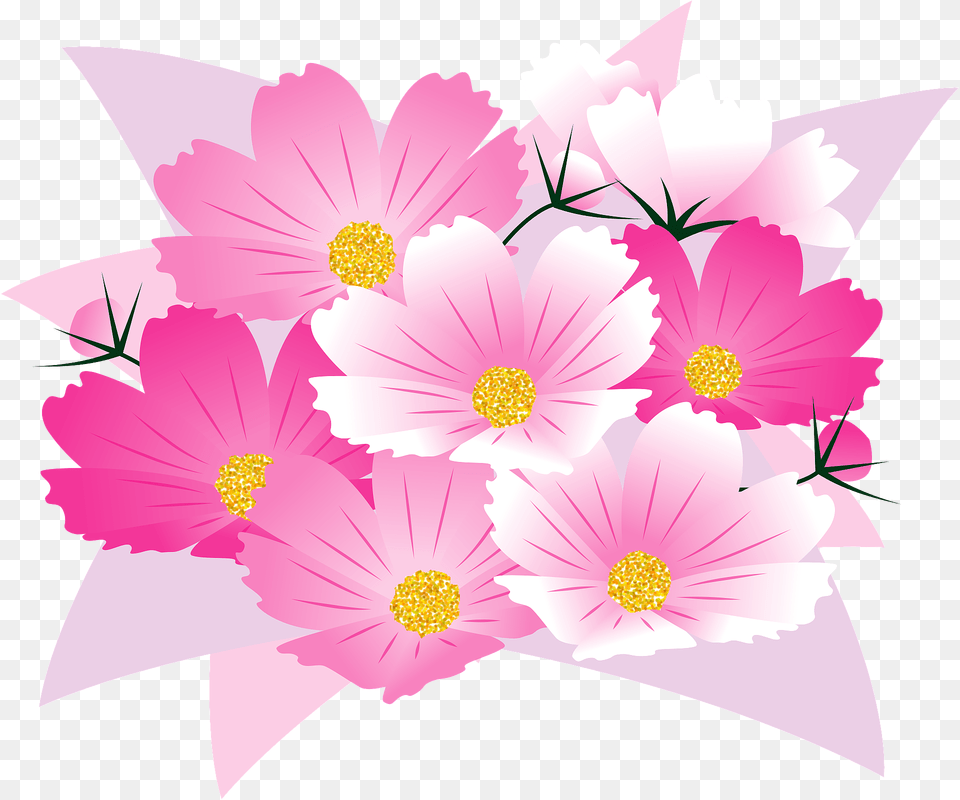 Cosmos Flower Clipart, Anemone, Anther, Daisy, Petal Free Png