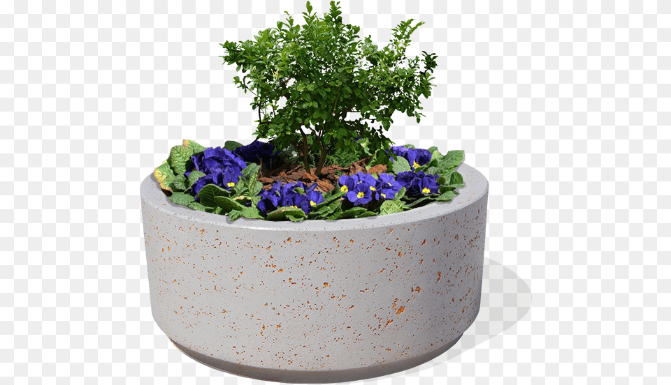 Coss Model Circular Planter Made Of Cement Flowerpot, Jar, Plant, Potted Plant, Pottery Png Image