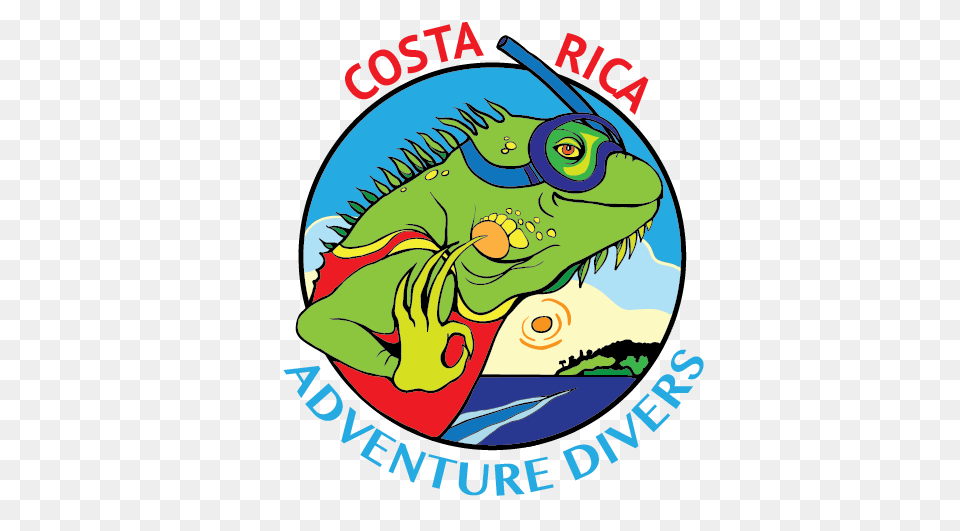 Costa Rica Adventure Divers, Animal, Iguana, Lizard, Reptile Free Png