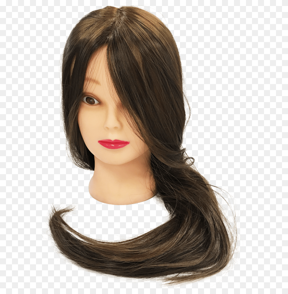 Costaline Mannequin Head Hair Design, Adult, Person, Woman, Female Png Image