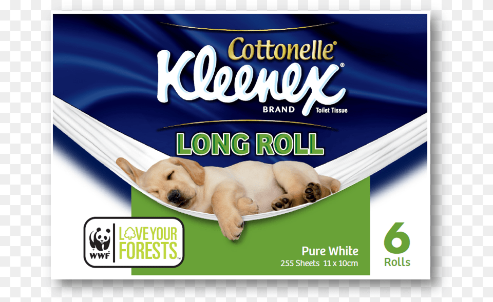 Costco Logo W6lymv Clipart Kleenex Juniors White Facial Tissue Unscented, Animal, Canine, Dog, Mammal Png Image