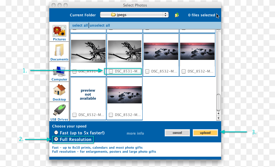 Costco Photo Center Review Sharing Center Windows, File, Webpage, Animal, Food Free Png