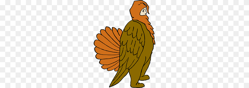 Costume Animal, Bird, Vulture, Person Png