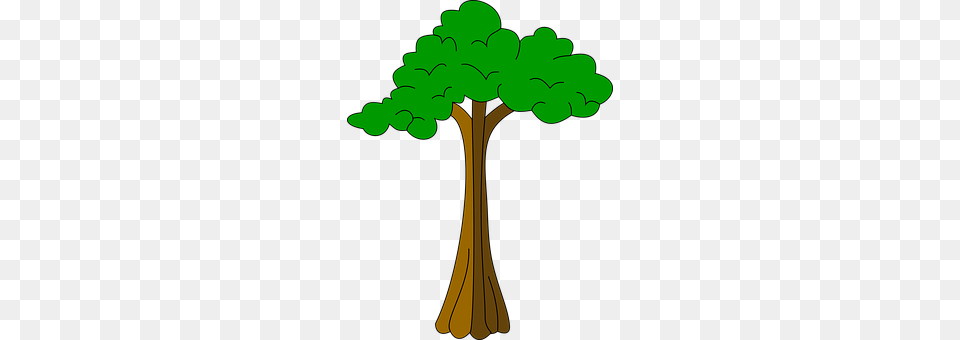 Cotton Plant, Tree, Cross, Symbol Free Png