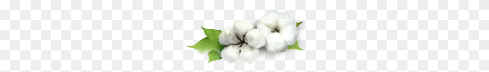 Cotton, Nature, Outdoors, Snow, Snowman Free Png