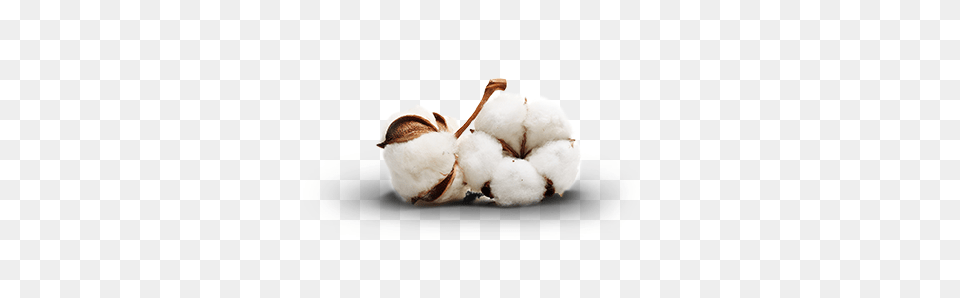 Cotton, Nature, Outdoors, Snow, Snowman Png