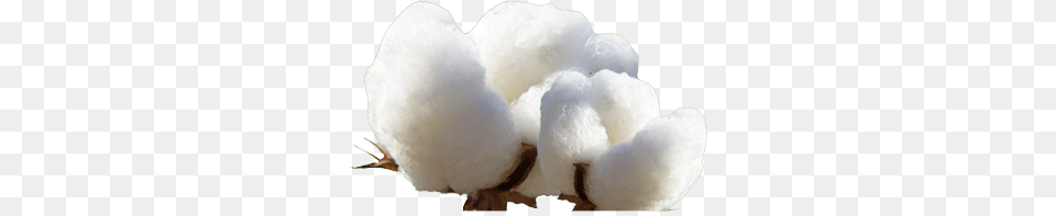 Cotton, Nature, Outdoors, Snow, Snowman Free Png Download