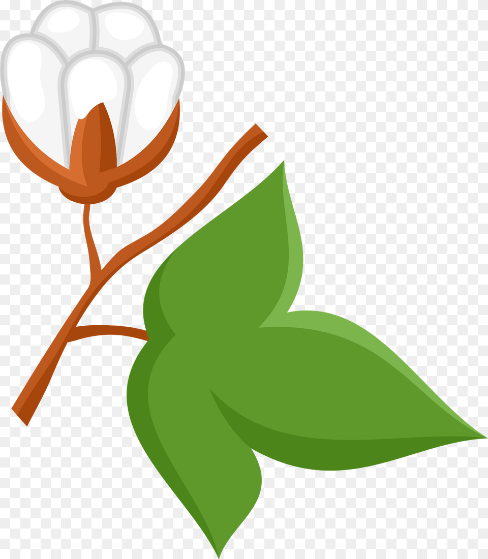 Cotton Branch Clipart, Leaf, Plant, Flower, Rose Free Png