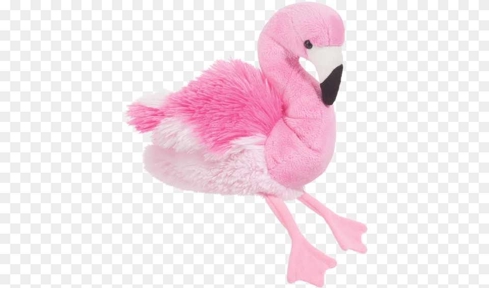 Cotton Candy Pink Flamingo Flamingo Toys, Animal, Bird Free Png