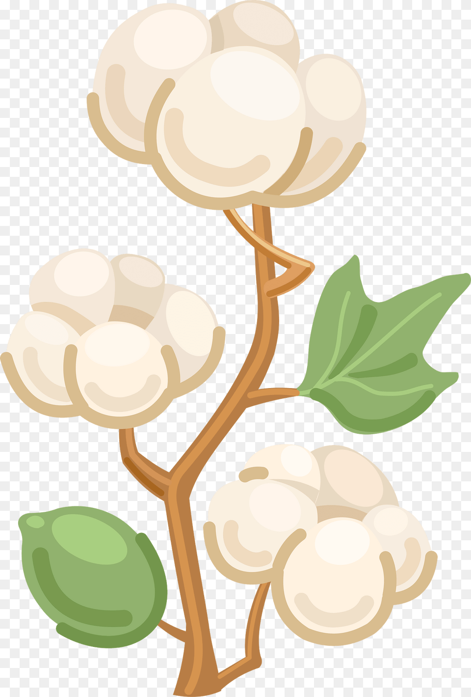 Cotton Clipart, Leaf, Plant, Flower Free Png Download