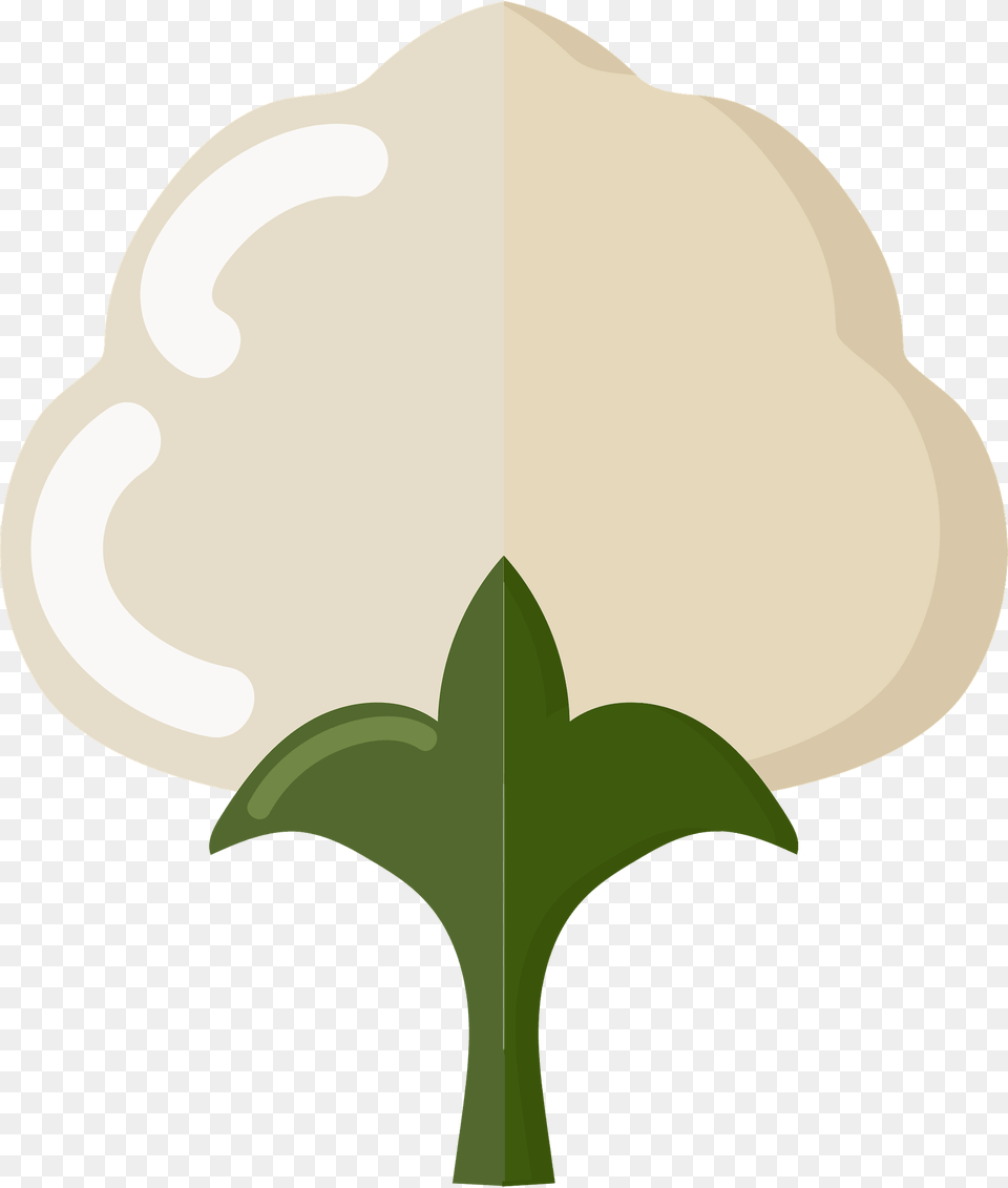 Cotton Clipart, Vegetable, Produce, Plant, Food Png Image