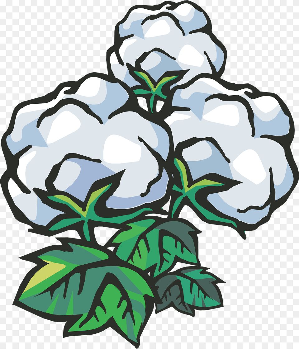 Cotton Clipart, Cauliflower, Food, Plant, Produce Free Png