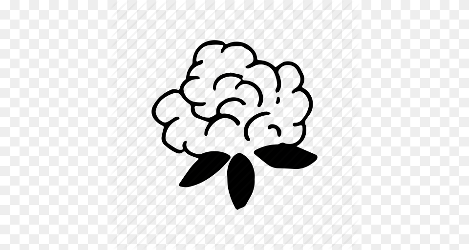 Cotton Cotton Flower Fabric Flower Icon Png Image
