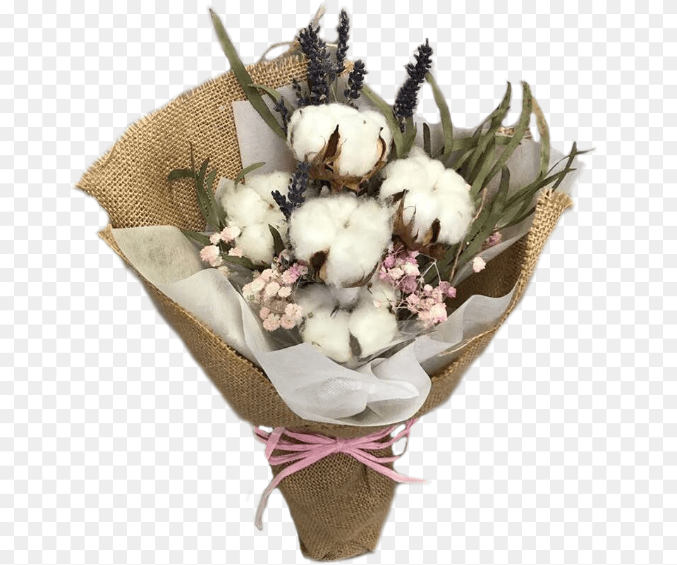 Cotton Flower Bouquet, Flower Bouquet, Plant, Flower Arrangement, Wedding Png Image