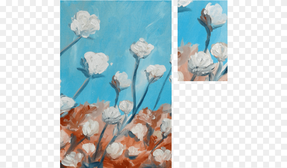 Cotton Garden Roses, Art, Flower, Painting, Petal Free Png Download