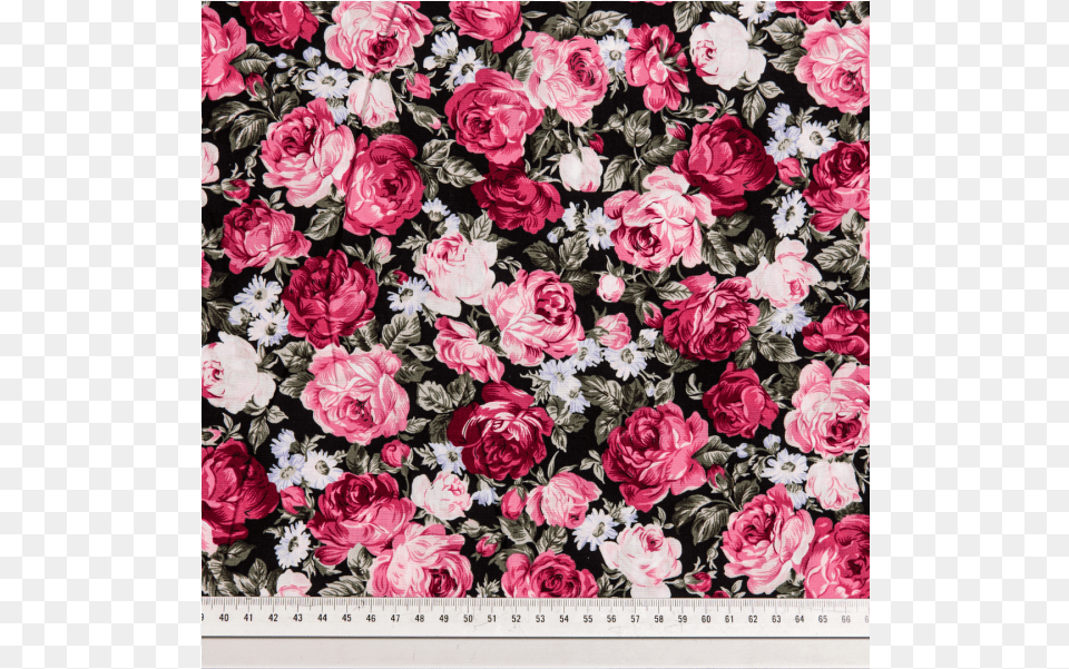 Cotton Poplin Printed Roses Dusty Pinkblack Hybrid Tea Rose, Art, Floral Design, Graphics, Pattern Png Image