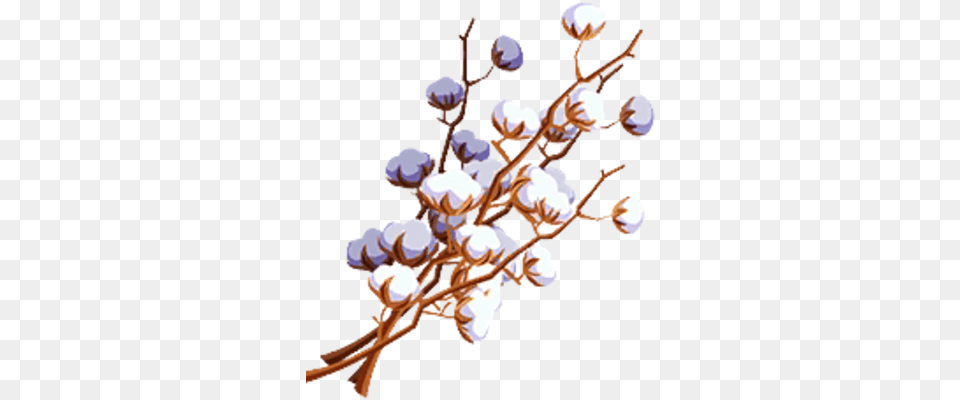 Cotton Twig, Flower, Plant Free Png