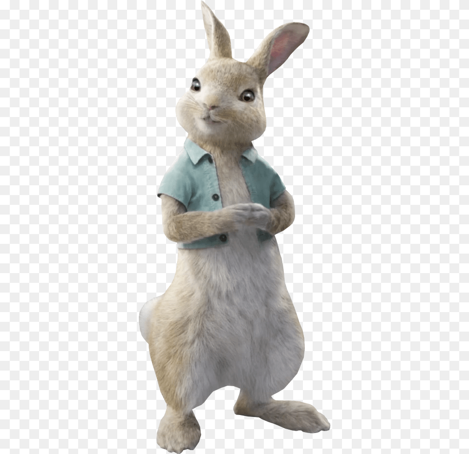 Cottontail Cottontail Rabbit Peter Rabbit, Animal, Mammal, Kangaroo, Hare Png Image