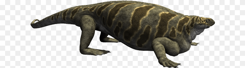 Cotylorhynchus Dinosaurs Alive Wiki Dimetrodon, Animal, Dinosaur, Reptile, T-rex Free Png Download