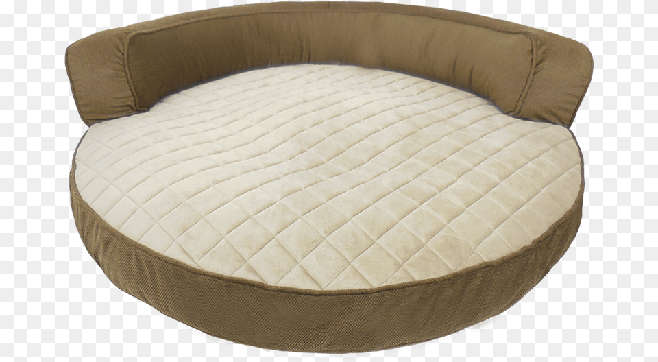 Couch Sofa Bed, Furniture, Cushion, Home Decor, Mattress Png