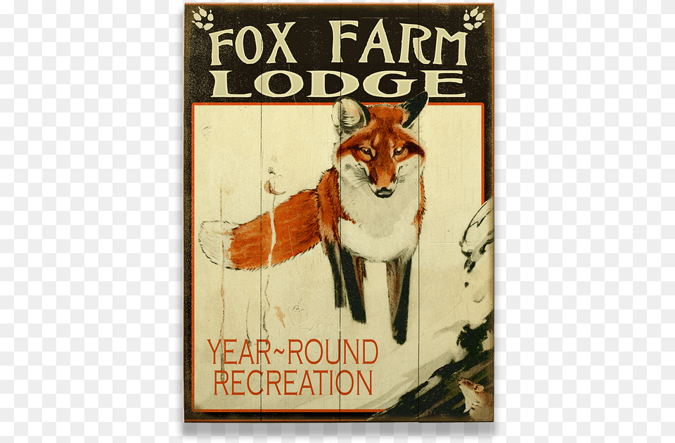 Cougar, Advertisement, Poster, Animal, Fox Free Png