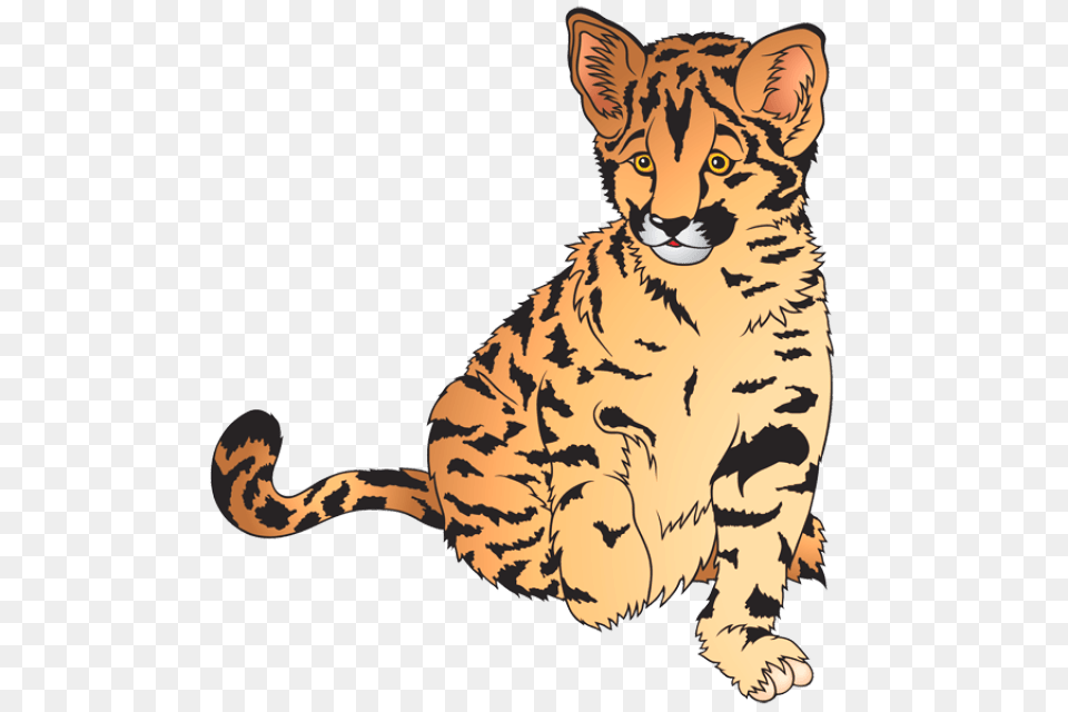 Cougar Animal Cliparts, Mammal, Tiger, Wildlife, Cheetah Free Transparent Png