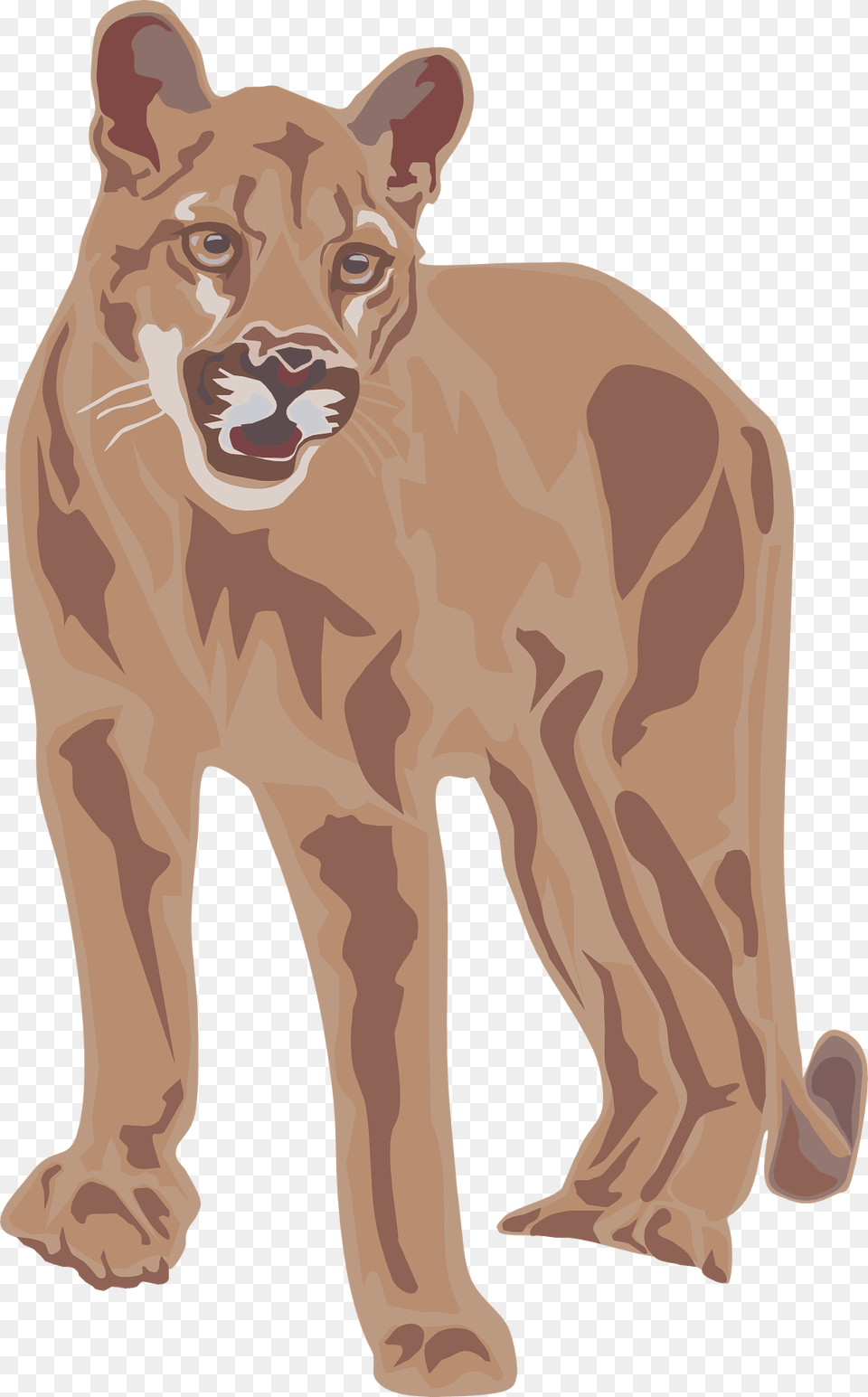Cougar Clipart, Animal, Lion, Mammal, Wildlife Free Png Download
