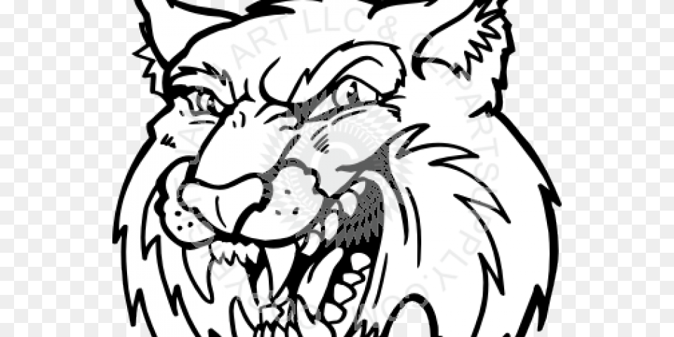 Cougar Clipart Bobcat, Person, Dragon Png