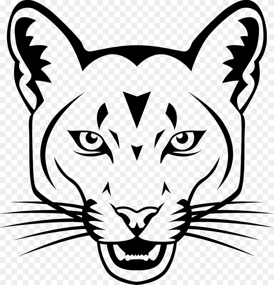 Cougar Face Clipart, Animal, Wildlife, Mammal, Panther Png
