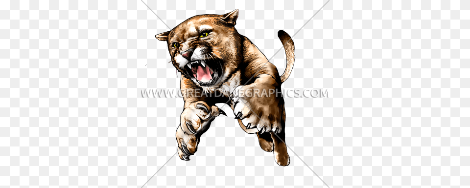 Cougar Full Body Production Ready Artwork For T Shirt Printing, Animal, Wildlife, Mammal, Canine Free Png