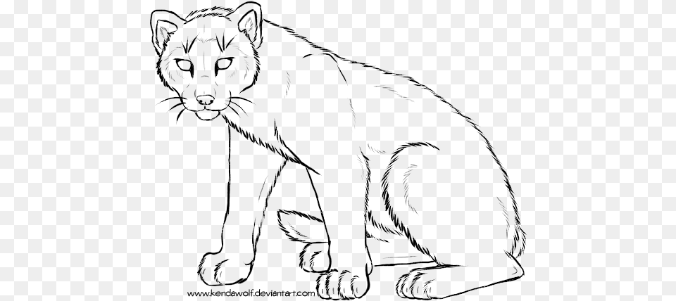 Cougar Line At Getdrawings Com For Line Art, Gray Png
