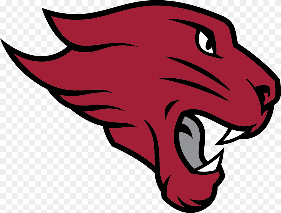 Cougar Logo Cuc Football, Animal, Fish, Sea Life, Shark Free Png