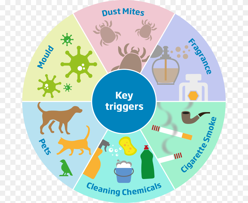 Coughing Key Triggers Of Asthma, Animal, Canine, Dog, Mammal Png Image