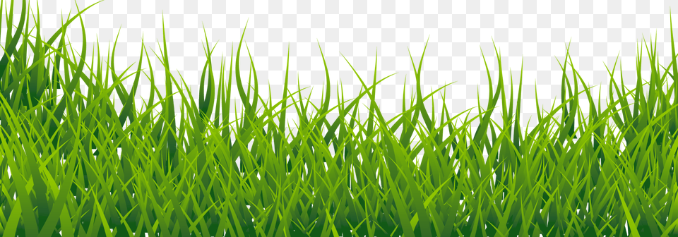Countdown Until Grass Image Hd, Green, Lawn, Plant, Vegetation Free Png Download