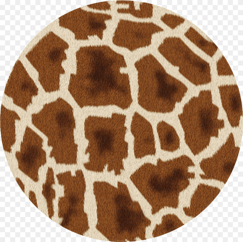 Counting Giraffes Rug, Home Decor, Animal, Giraffe, Mammal Free Transparent Png